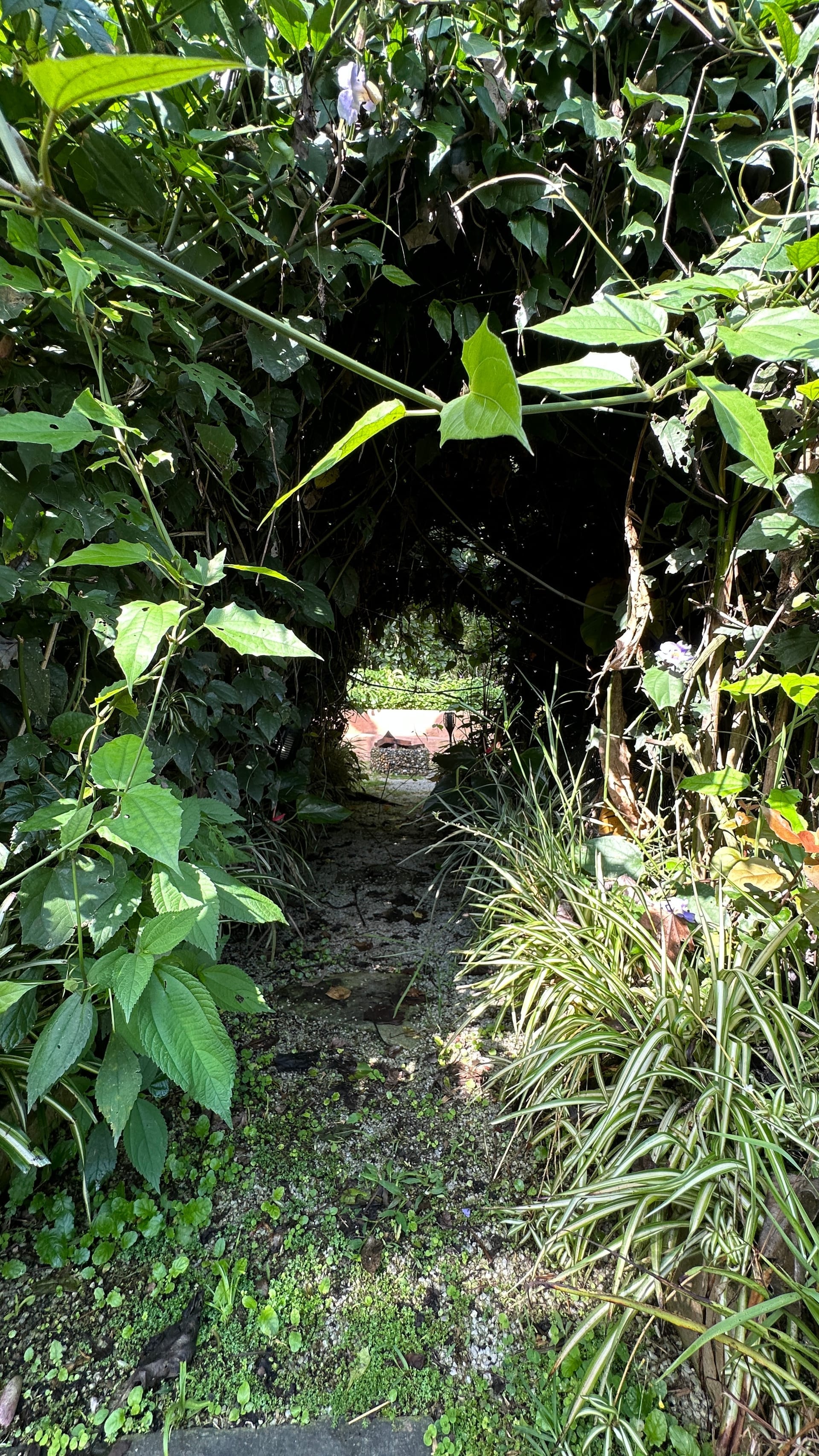 Wide Andean panorama