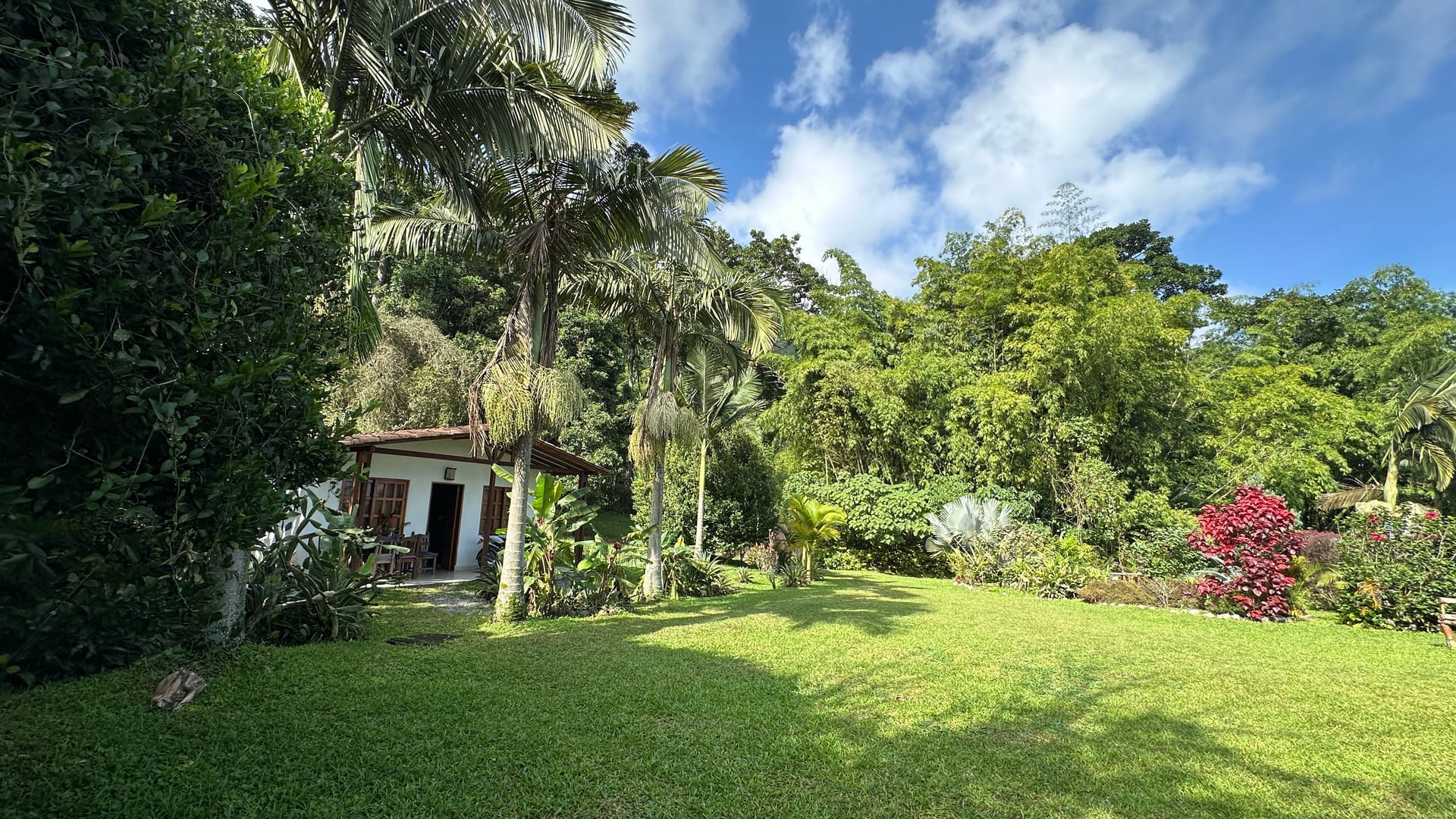 Forest edge diversity