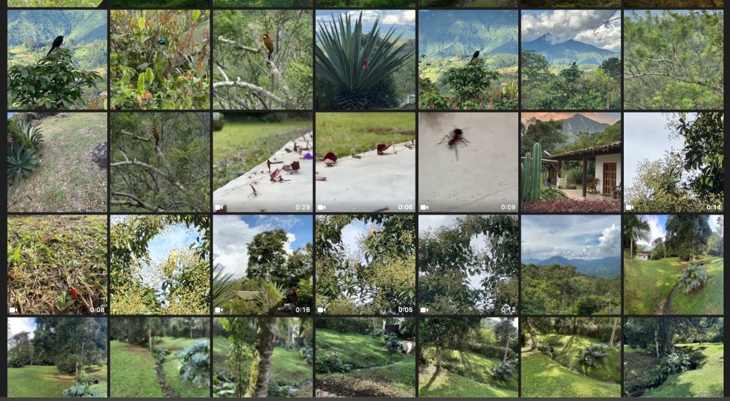 River corridor on the property