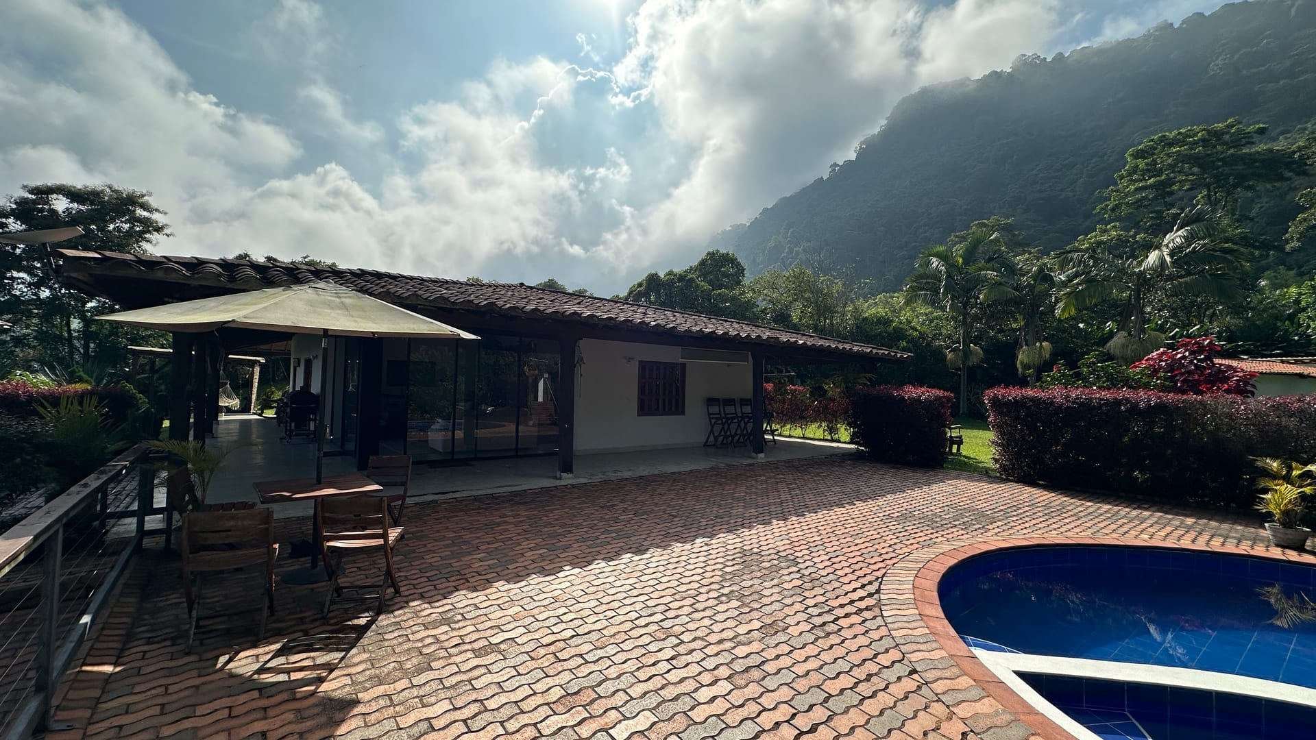 Tropical forest habitat