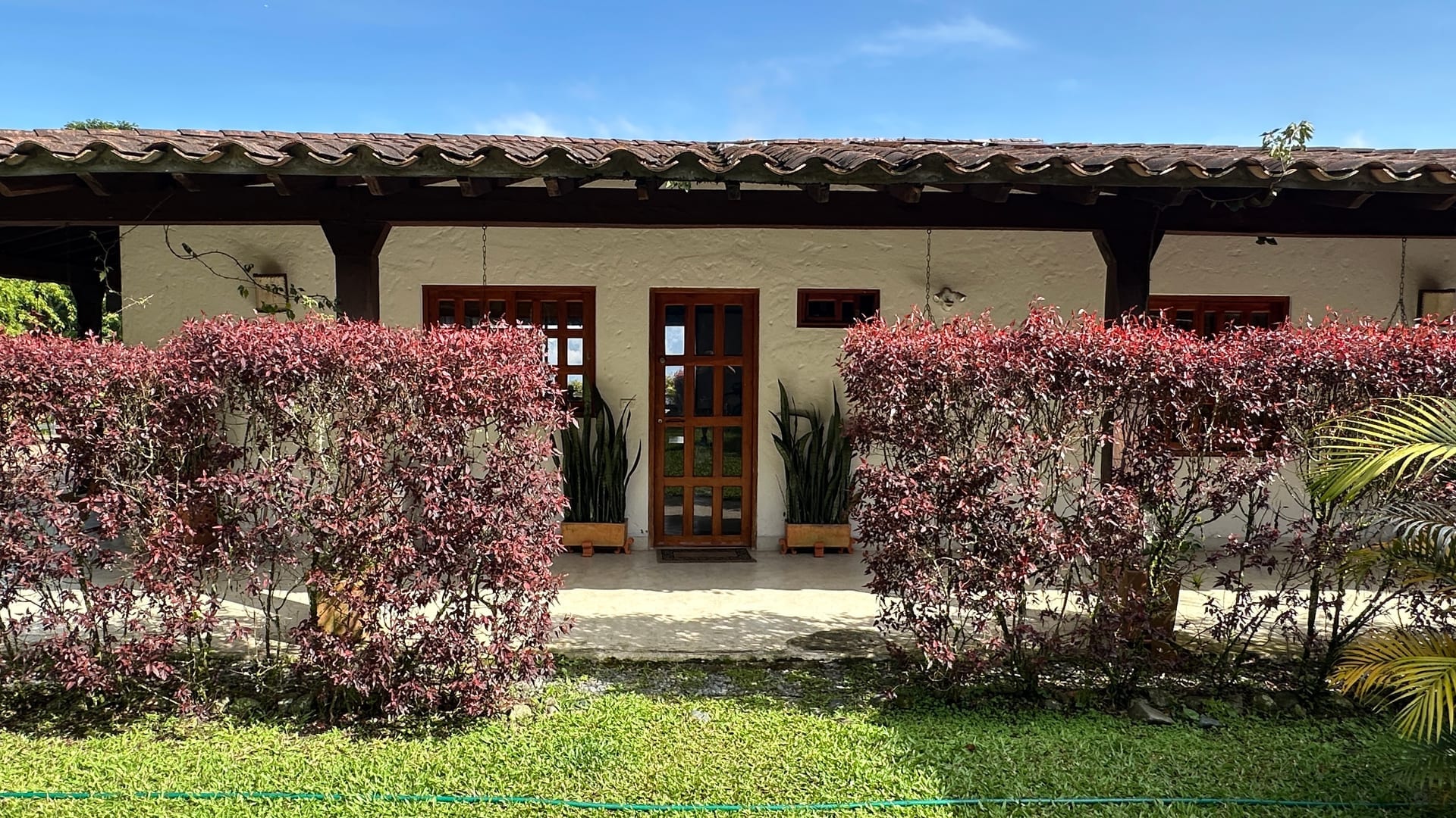 Bedroom with natural light