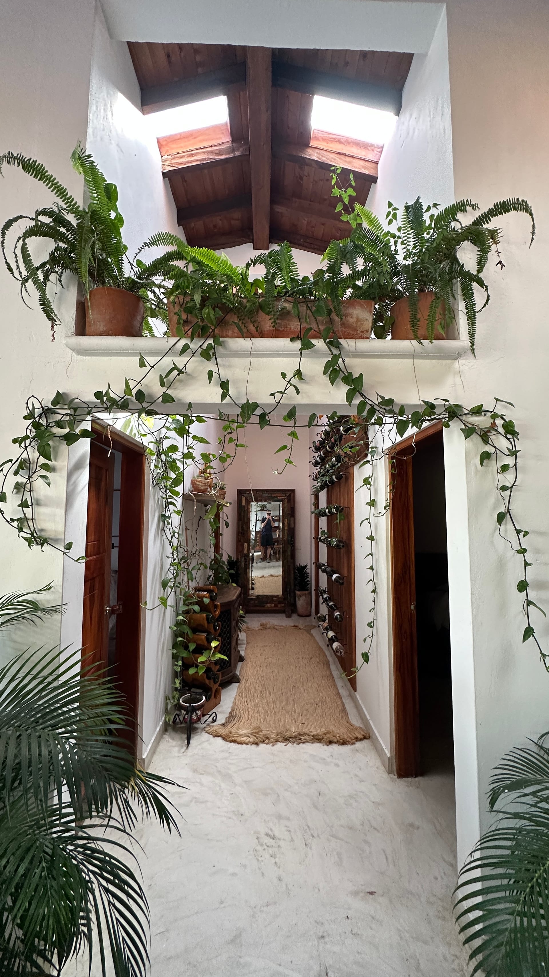 Plant-lined corridor connecting spaces