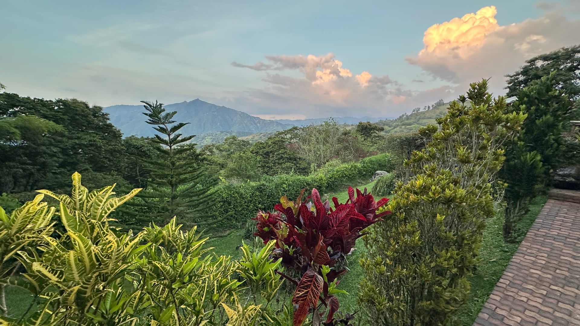 Estate garden with Andean mountain view at sunset – private nature stay Colombia