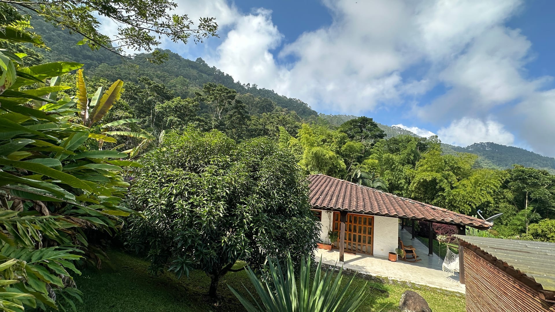 Finca house nestled in tropical garden with Andean forest backdrop
