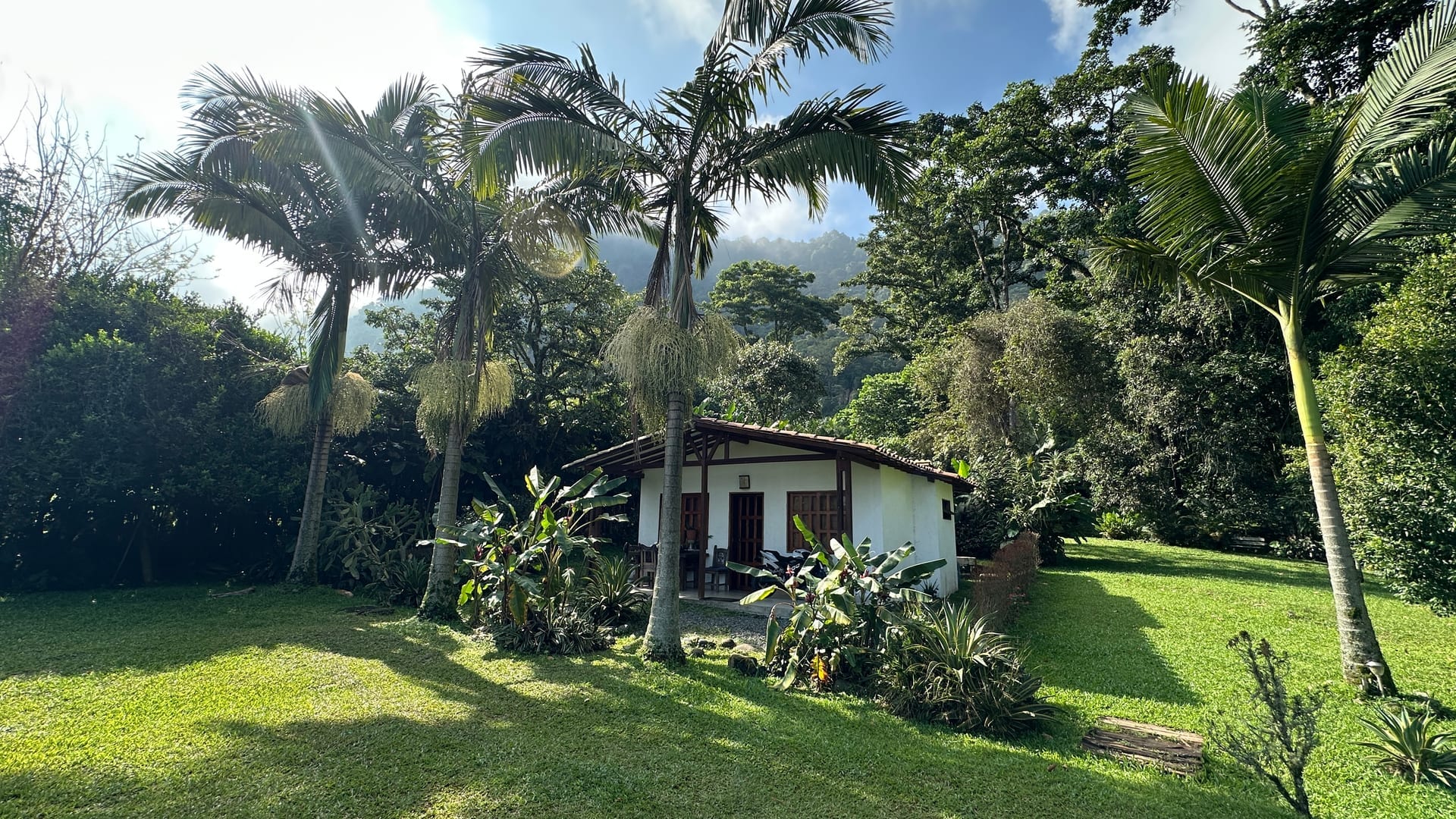 Lawn with palm trees and mountain backdrop