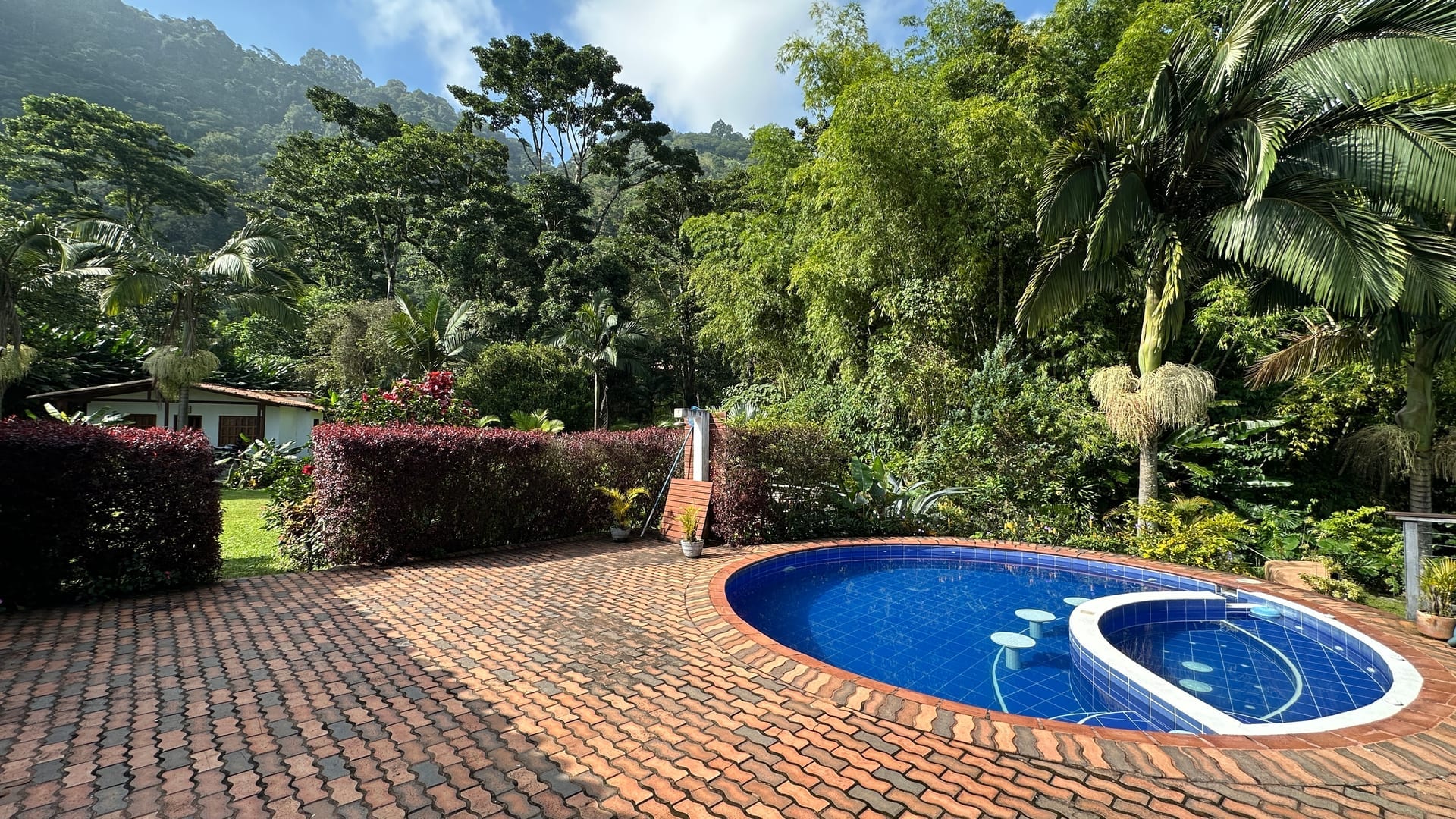 Swimming pool in tropical garden with mountain backdrop